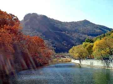 管家婆黑白马报图库，湿地松种子价格